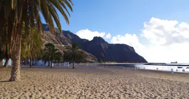 Guadeloupe, Basse-Terre, Pointe-à-Pitre, volcano, beach, palm, waterfall, Creole, island