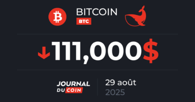 BTC en hausse de 20 % en 2025, bien loin des standards de bull run - Bitcoin le 29 août