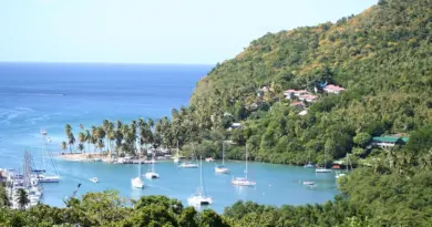 Martinique, Fort-de-France, beach, volcano, palm, rainforest, Creole, boat, island