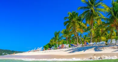 Guadeloupe, Basse-Terre, Pointe-à-Pitre, volcano, beach, palm, waterfall, Creole, island
