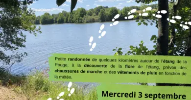 Balade botanique autour de l'Étang de La Pouge