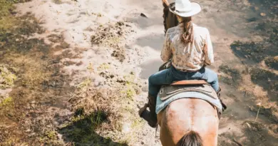 Balade tri de bétail à cheval – Mardi 19/08 au Ranch de Sagone