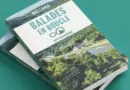 Balades en boucle autour du petit patrimoine de Wallonie : des sorties magiques pour les marcheurs - RTBF Actus