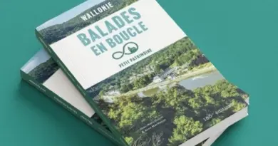 Balades en boucle autour du petit patrimoine de Wallonie : des sorties magiques pour les marcheurs - RTBF Actus
