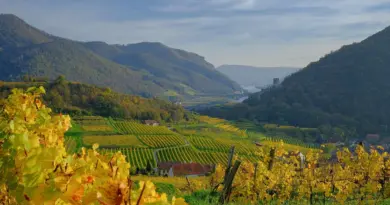 Bourgogne-Franche-Comté, Dijon, Besançon, vineyard, forest, river, mountain, village