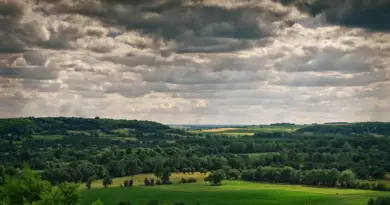 Centre-Val de Loire, Orléans, Tours, Loire river, castle, vineyard, forest, landscape