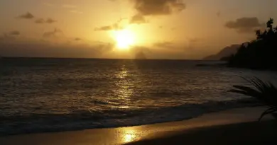 Martinique, Fort-de-France, beach, volcano, palm, rainforest, Creole, boat, island