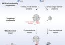 Biochemists uncover new rules of mitochondrial protein import