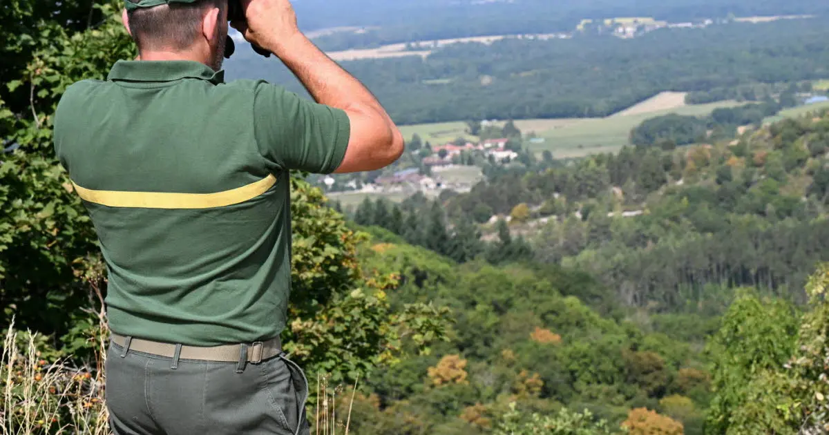 Biodiversité. Dans les pas de l’Office national des forêts, qui veille sur l’Ain