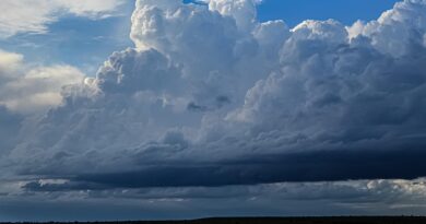 weather, forecast, meteorology, climate, temperature, rain, rainfall, storm, thunderstorm