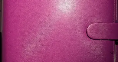 Bujo de suivi avec ceintures