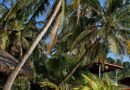Guadeloupe, Basse-Terre, Pointe-à-Pitre, volcano, beach, palm, waterfall, Creole, island