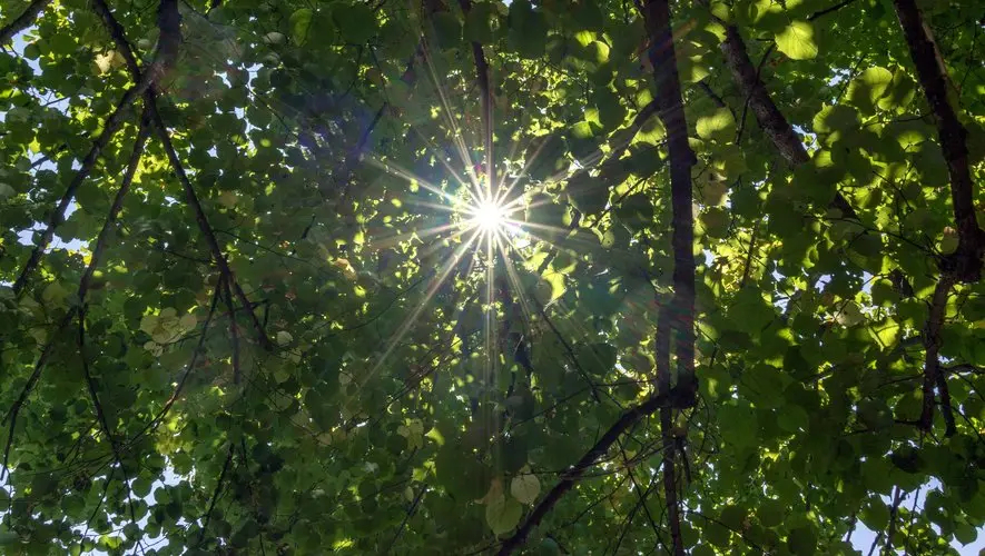 CARTE Canicule : près de 43 °C enregistrés ce mardi, voici les températures records mesurées dans la région