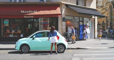 francophonie, Paris, Dakar, Montréal, Brussels, landscape, people, culture, city, Africa