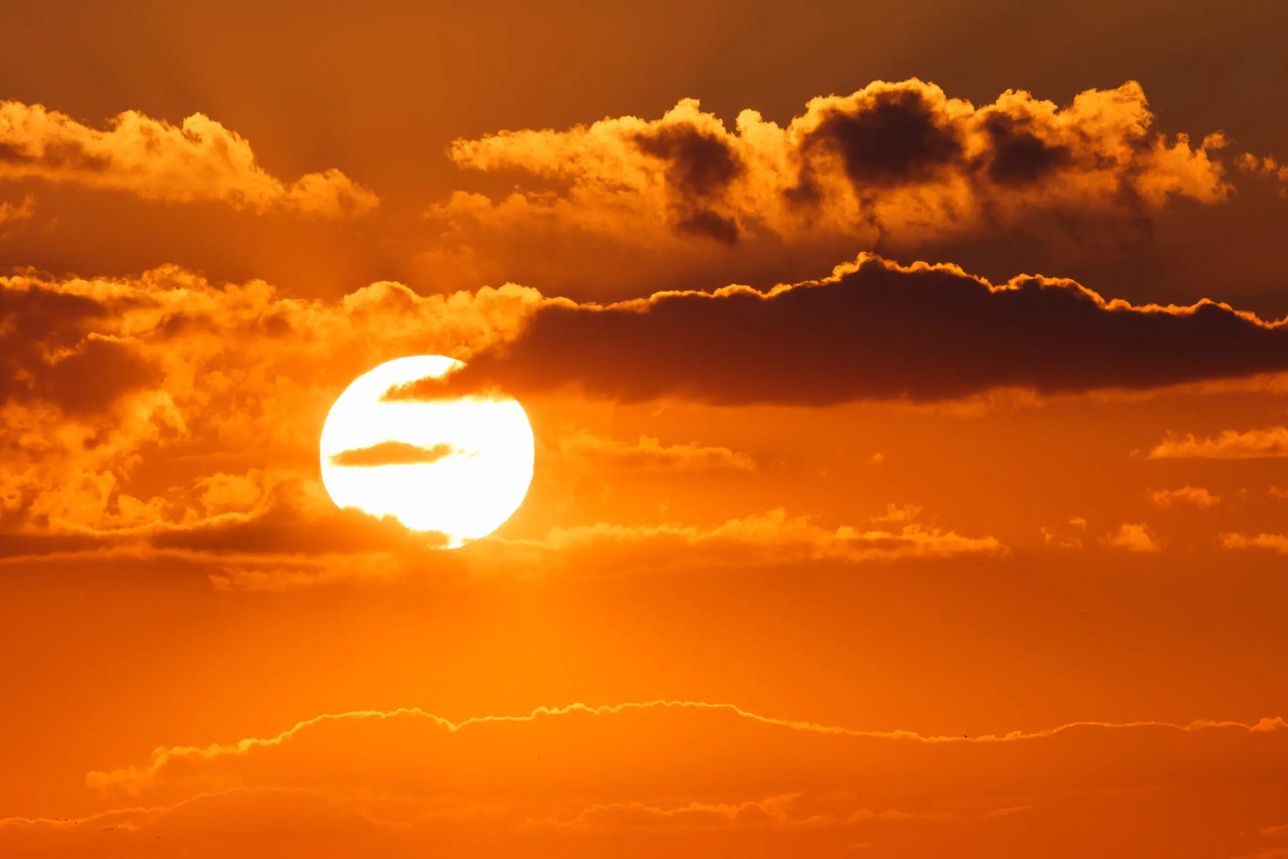 COMMUNIQUÉ DE PRESSE La Haute-Corse placée en Vigilance Jaune « Canicule » |