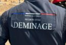 "Ça ne nous a pas fait rire" : à Croutelle, le colis suspect contenait en fait un sextoy - ici