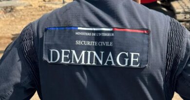 "Ça ne nous a pas fait rire" : à Croutelle, le colis suspect contenait en fait un sextoy - ici