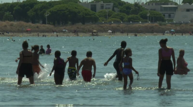 "Ça nous fait peur" : en plein couvre-feu à cause de fusillades, ces enfants profitent de sorties loin de leur quartier