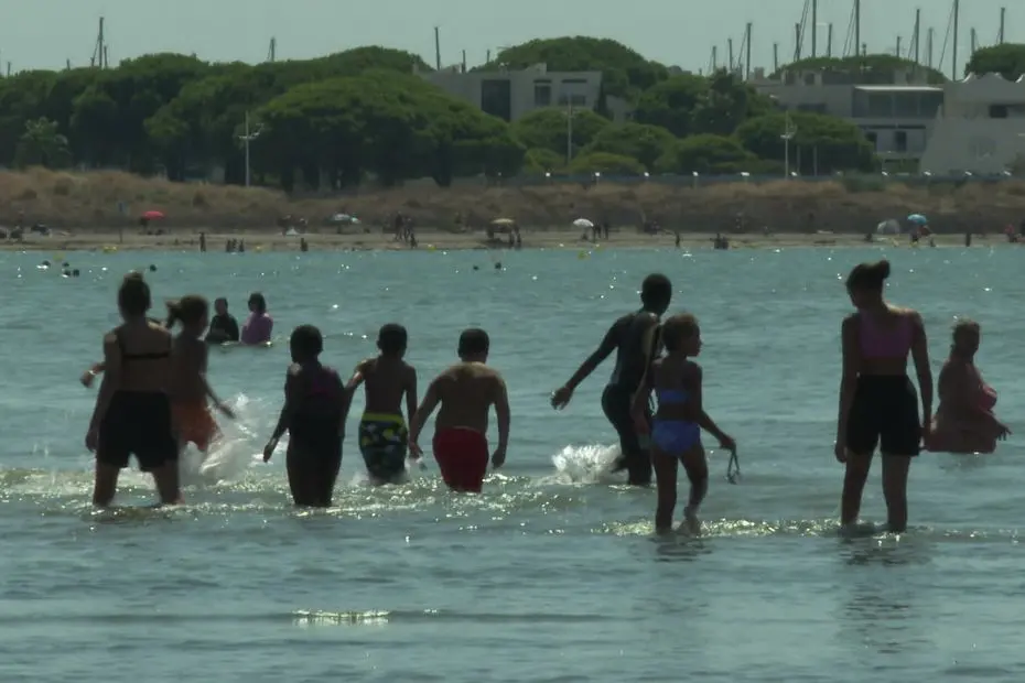 "Ça nous fait peur" : en plein couvre-feu à cause de fusillades, ces enfants profitent de sorties loin de leur quartier