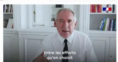 "Ça permet d'être dans le vent, d'être tendance" : les réseaux sociaux, un porte-voix efficace pour les politiques ?