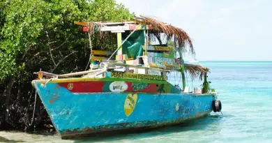 Martinique, Fort-de-France, beach, volcano, palm, rainforest, Creole, boat, island