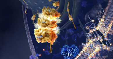 Illustration de la ferroptose © Nicolle R. Fuller / Science Photo Library