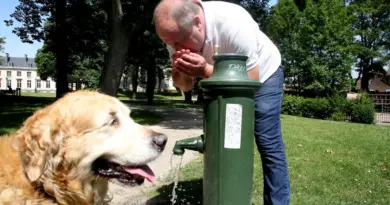 Canicule. CARTE. Fontaines, bars, où trouver de l'eau gratuite pour se rafraîchir ou remplir sa gourde ?