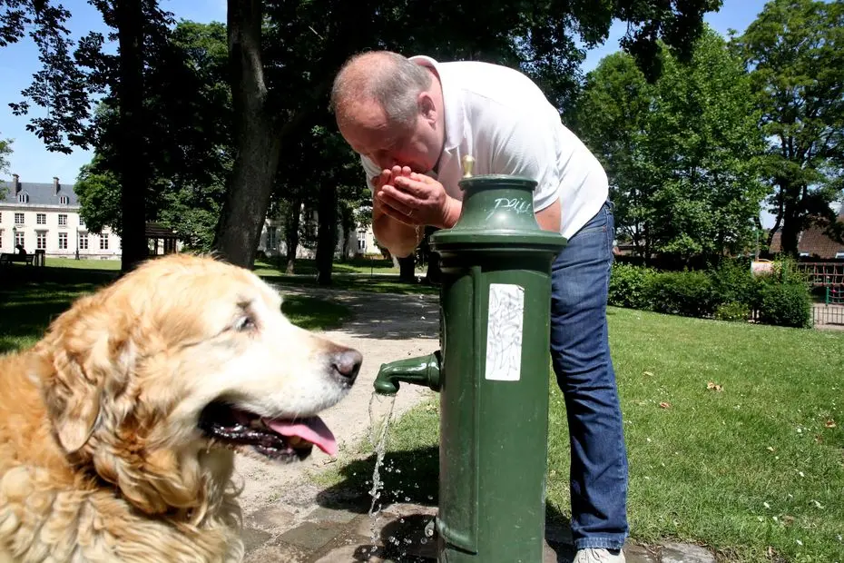 Canicule. CARTE. Fontaines, bars, où trouver de l'eau gratuite pour se rafraîchir ou remplir sa gourde ?