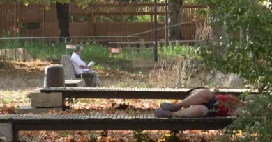 Canicule à Lyon : comment éviter les coups de chaleur après 8 jours de fournaise