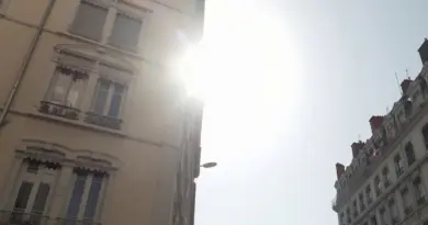 Canicule : chacun ses astuces pour la surmonter