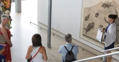 Canicule : le musée gallo-romain de Saint-Romain-en-Gal moins cher