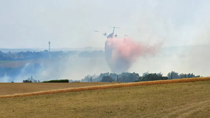 Canicule : une partie du Tarn passe en risque incendie très sévère