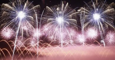 Cannes : une équipe japonaise aux manettes du feu d'artifice ce vendredi 15 août