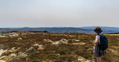 Cap sur le sommet de Finiels, toit des Cévennes !