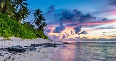 Guadeloupe, Basse-Terre, Pointe-à-Pitre, volcano, beach, palm, waterfall, Creole, island
