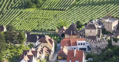 Bourgogne-Franche-Comté, Dijon, Besançon, vineyard, forest, river, mountain, village