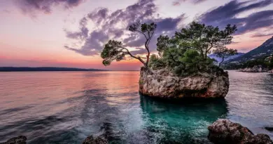 Mayotte, Mamoudzou, lagoon, beach, coral, mangrove, ylang-ylang, island, Creole, nature