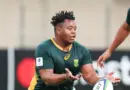 Cas de dopage chez les Springboks