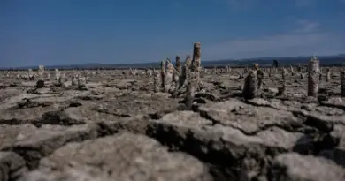 Ce record de chaleur absolu en Turquie est un nouvel exemple du réchauffement climatique