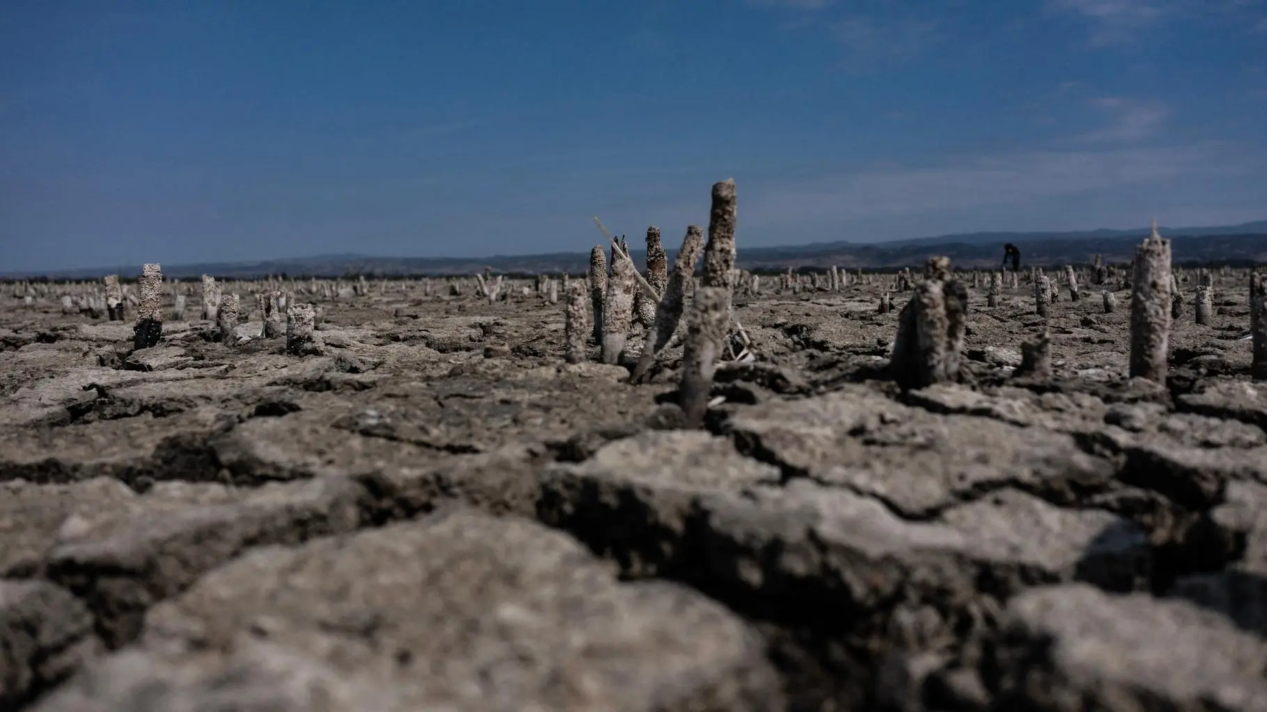 Ce record de chaleur absolu en Turquie est un nouvel exemple du réchauffement climatique