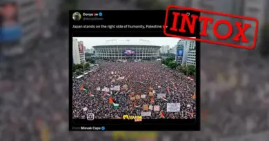 Ces images de manifestations pro-Palestine au Japon ont été générées par IA
