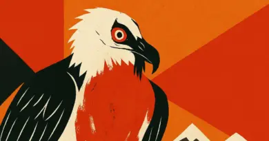 Ces oiseaux se maquillent régulièrement et c'est un vrai mystère pour les chercheurs !