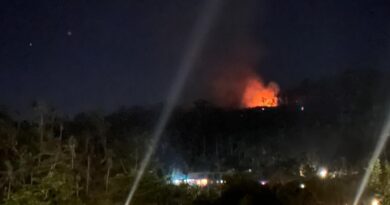 "C'est la saison de la culture sur brûlis", sept feux de végétations ont mobilisé les pompiers ce jeudi soir à Mayotte