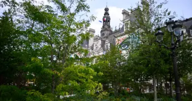 « C’est très beau le parvis de l’Hôtel-de-Ville, mais c’est du kit végétal » : les défis du développement des « forêts urbaines »