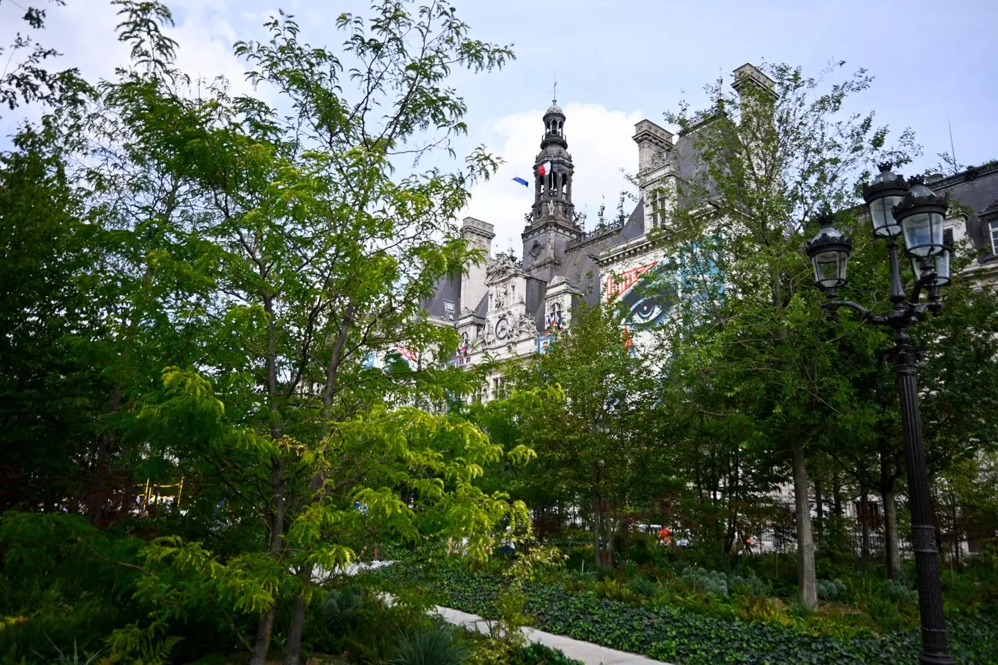« C’est très beau le parvis de l’Hôtel-de-Ville, mais c’est du kit végétal » : les défis du développement des « forêts urbaines »