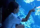 "C'est trop beau" : des familles éloignées du monde marin visitent le Musée océanographique de Monaco lors d'une journée solidaire