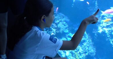 "C'est trop beau" : des familles éloignées du monde marin visitent le Musée océanographique de Monaco lors d'une journée solidaire