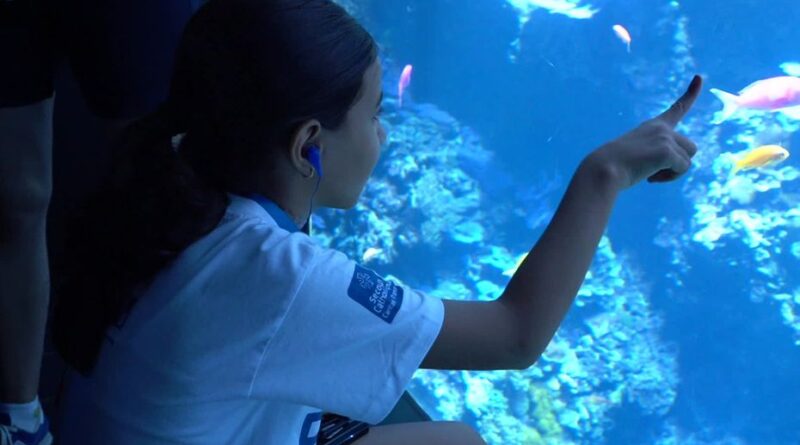 "C'est trop beau" : des familles éloignées du monde marin visitent le Musée océanographique de Monaco lors d'une journée solidaire