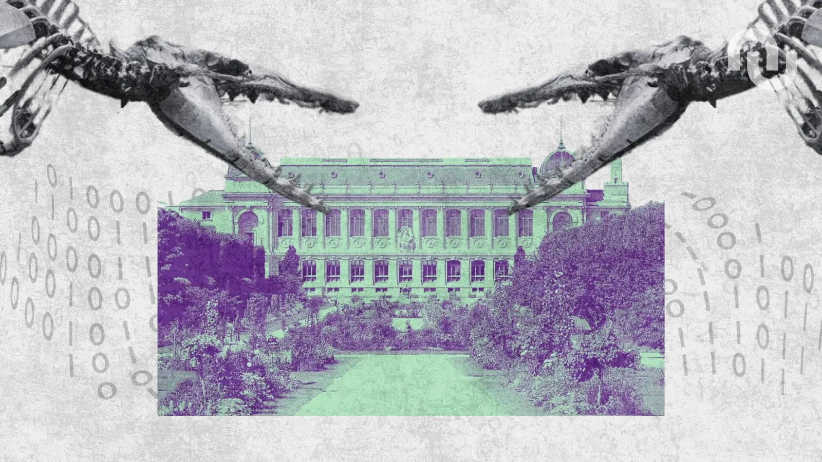 « C'est une attaque vraiment massive », pourquoi le Muséum national d'histoire naturelle de Paris est-il la cible de cybercriminels ?