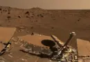 rovers nasa. mars
